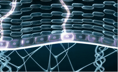 20201225160888572796383.gif